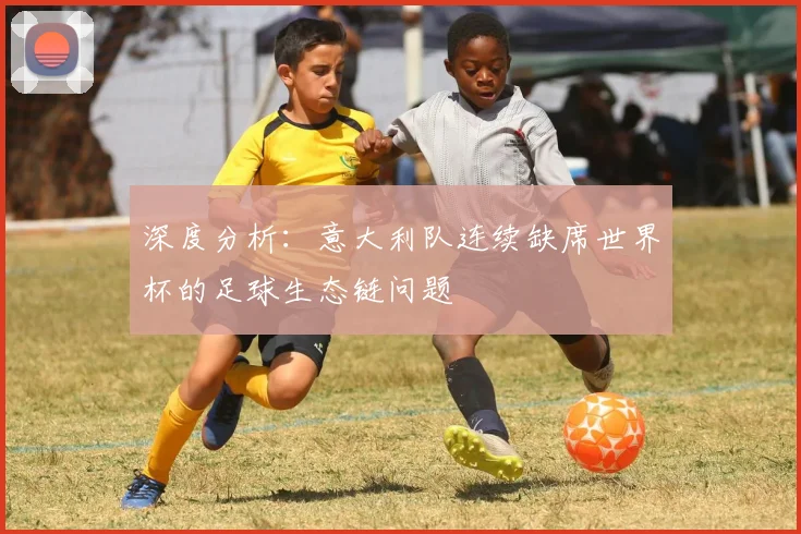 深度分析：意大利队连续缺席世界杯的足球生态链问题