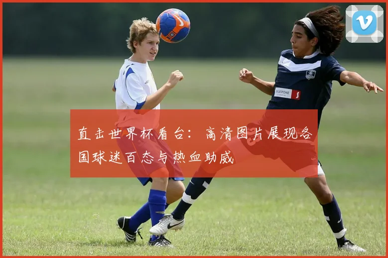 直击世界杯看台：高清图片展现各国球迷百态与热血助威